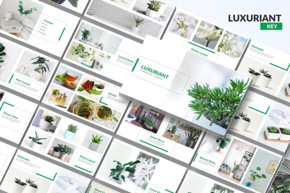 Luxuriant Keynote Template: Crafting Polished Presentations